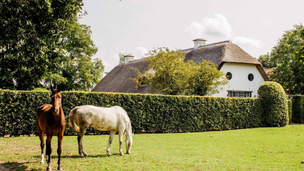 Truyenhof Bree Exterior foto